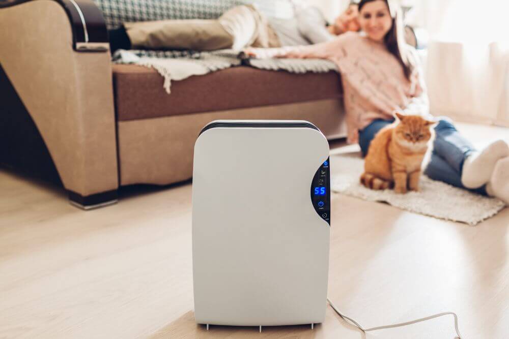 Advantages of a Dehumidifier in My Home